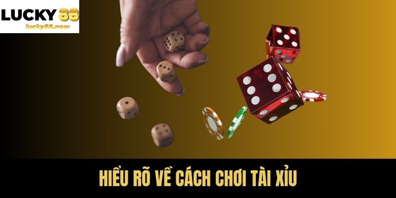 Hiểu rõ về cách chơi tài xỉu