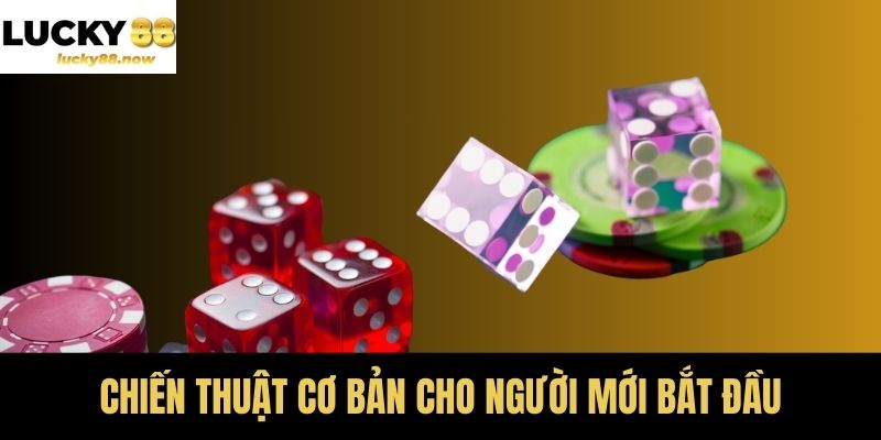 Chiến thuật cơ bản cho người mới bắt đầu