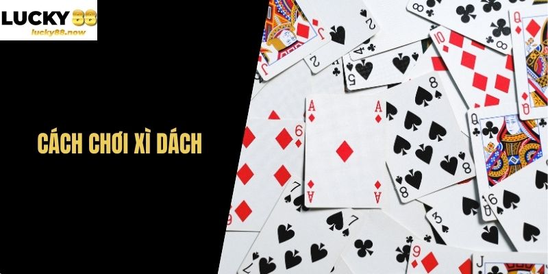 Cách Chơi Xì Dách - Chiến Thuật Và Mẹo Hay Từ LUCKY88