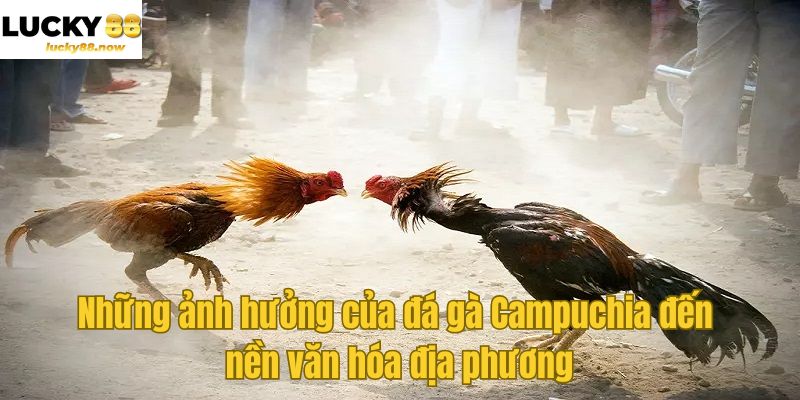 Những ảnh hưởng của đá gà Campuchia đến nền văn hóa địa phương