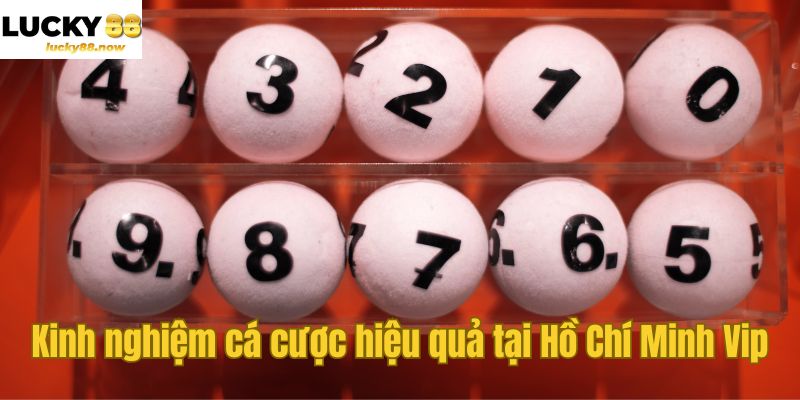 Kinh nghiệm cá cược hiệu quả tại Hồ Chí Minh Vip