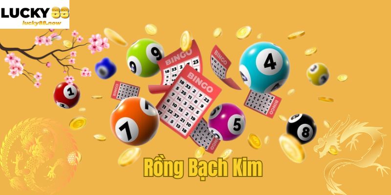 Rồng Bạch Kim - Cơ Hội Chơi Xổ Số Đổi Đời Trong Tầm Tay