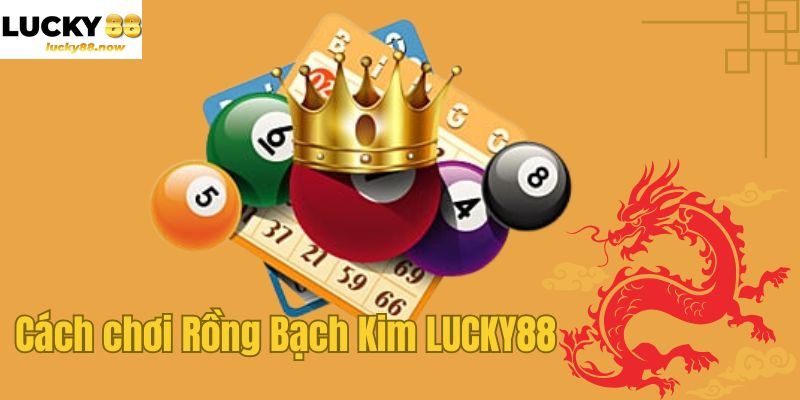Cách chơi Rồng Bạch Kim LUCKY88