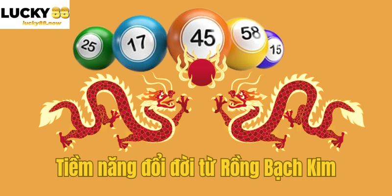 Tiềm năng đổi đời từ Rồng Bạch Kim
